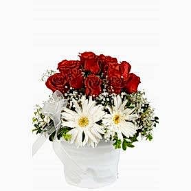 Kırmızı Gül Beyaz Gerbera C-CAM108