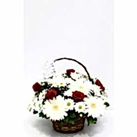 Sevgi Kelebeği Gerbera Gül C-AR134