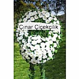 Beyaz Gerbera Cenaze Merasim Çelenği