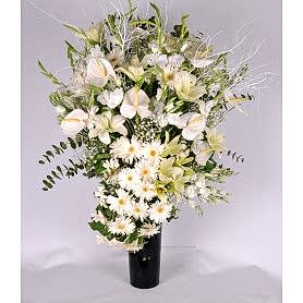 Sultanım Lilyum Gerbera, Gül, Şebboy C-AR147