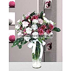 KIR169