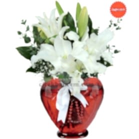 Kalpbimdeki Düş kokulu Lilyum C-KLP110
