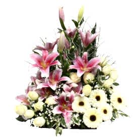 Bahar Esintisi Pembe Lilyum  C-AR117
