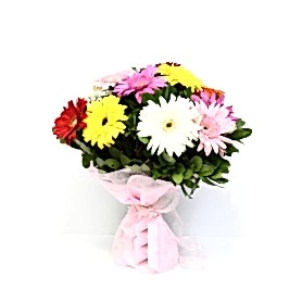 Dört Mevsim Renkli Gerbera Buketi C-BUK167