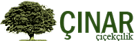 Çiçek Gönder,  Online Çiçek Siparişi, Çınar Çiçekçilik - Ucuz Çiçekçi